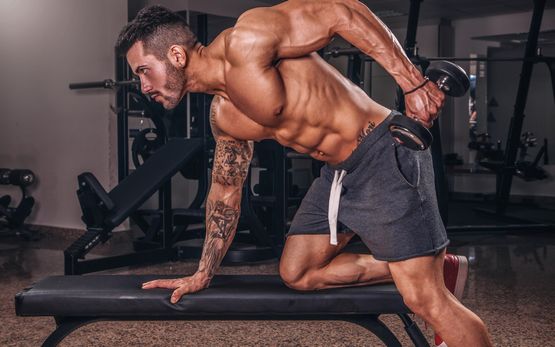 Clenbuterol: Acción Farmacológica